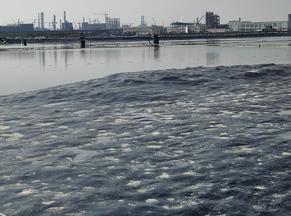 f9df44ce8fa145a887c838108edb363.jpg f9df44ce8fa145a887c838108edb363.jpg